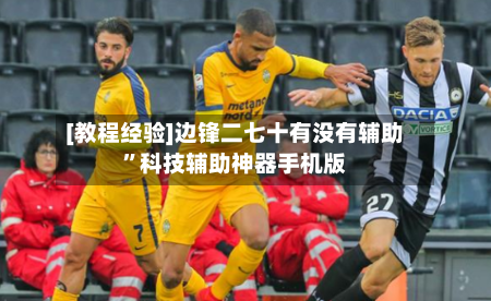 [教程经验]边锋二七十有没有辅助”科技辅助神器手机版-第2张图片
