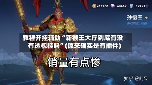 教程开挂辅助“新猴王大厅到底有没有透视挂吗	”(原来确实是有插件)-第2张图片