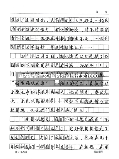 国内疫情作文/国内外疫情作文1000字-第2张图片