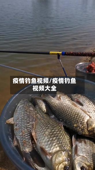 疫情钓鱼视频/疫情钓鱼视频大全-第2张图片