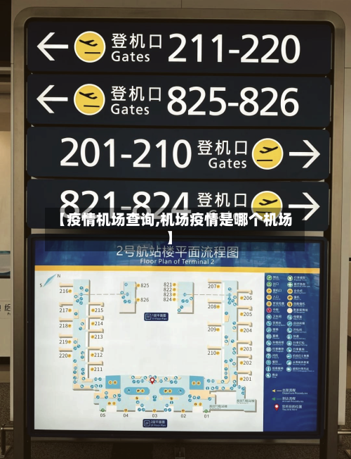 【疫情机场查询,机场疫情是哪个机场】-第3张图片