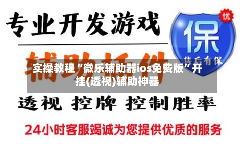 实操教程“微乐辅助器ios免费版	”开挂(透视)辅助神器-第2张图片