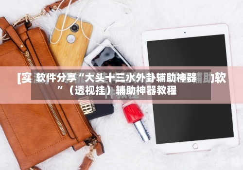 软件分享“大头十三水外卦辅助神器”（透视挂）辅助神器教程-第2张图片