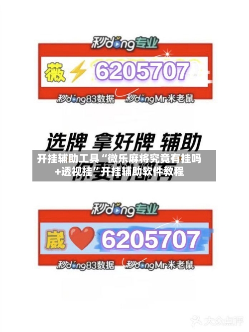开挂辅助工具“微乐麻将究竟有挂吗+透视挂	”开挂辅助软件教程-第2张图片
