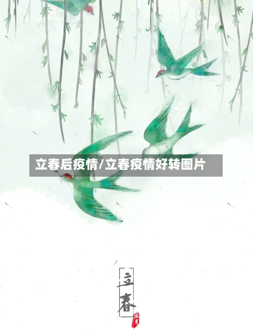 立春后疫情/立春疫情好转图片-第1张图片