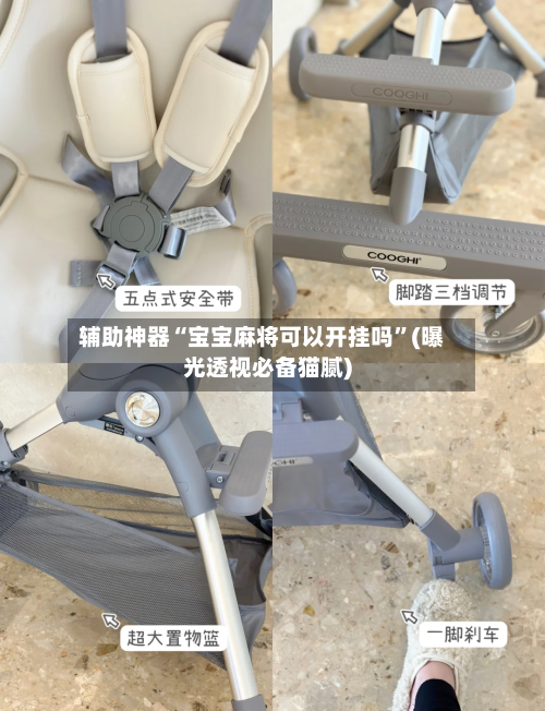 辅助神器“宝宝麻将可以开挂吗”(曝光透视必备猫腻)-第3张图片