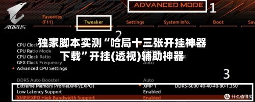 独家脚本实测“哈局十三张开挂神器下载”开挂(透视)辅助神器-第2张图片