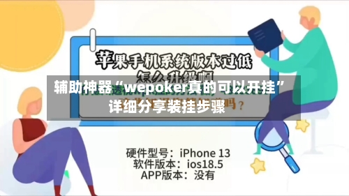 辅助神器“wepoker真的可以开挂”详细分享装挂步骤-第3张图片