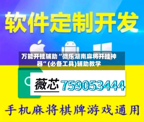 万能开挂辅助“微乐湖南麻将开挂神器”(必备工具)辅助教学-第3张图片