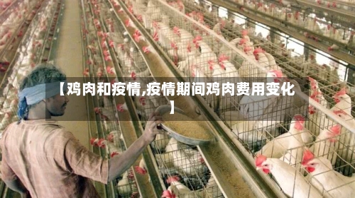【鸡肉和疫情,疫情期间鸡肉费用变化】-第2张图片