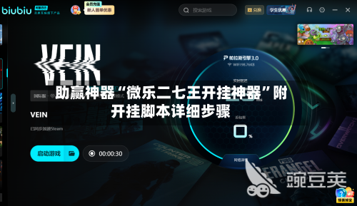 助赢神器“微乐二七王开挂神器	”附开挂脚本详细步骤-第2张图片