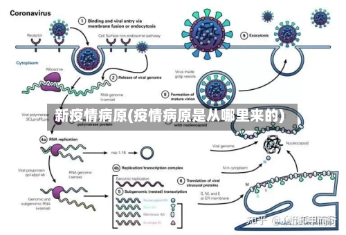 新疫情病原(疫情病原是从哪里来的)-第3张图片