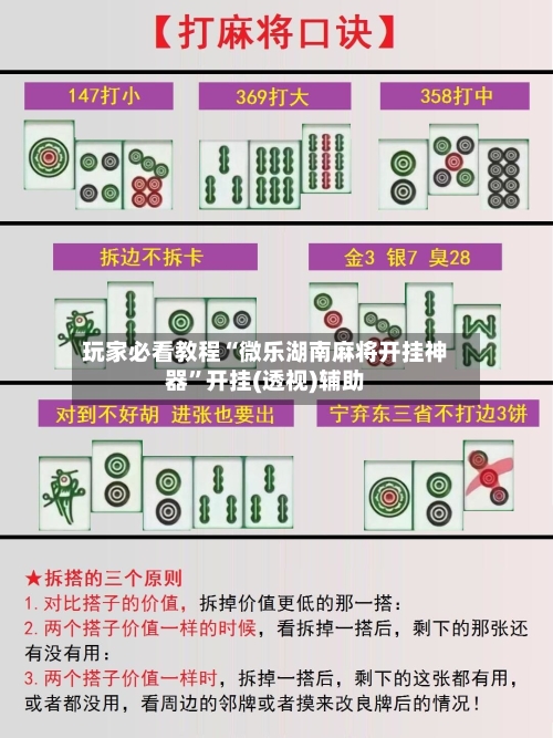 玩家必看教程“微乐湖南麻将开挂神器”开挂(透视)辅助-第2张图片