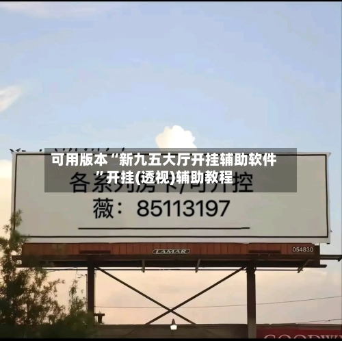 可用版本“新九五大厅开挂辅助软件”开挂(透视)辅助教程-第2张图片