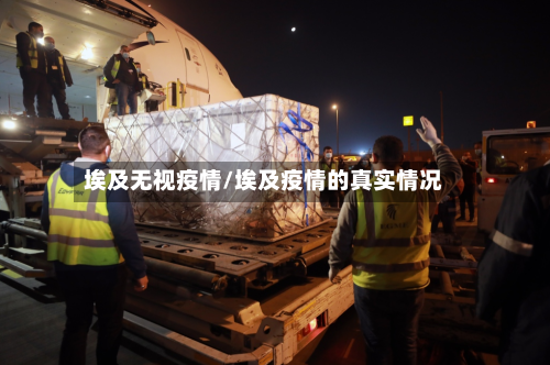 埃及无视疫情/埃及疫情的真实情况-第2张图片