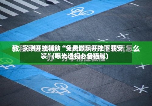 实测开挂辅助“免费微乐开挂下载安装”(曝光透视必备猫腻)-第2张图片