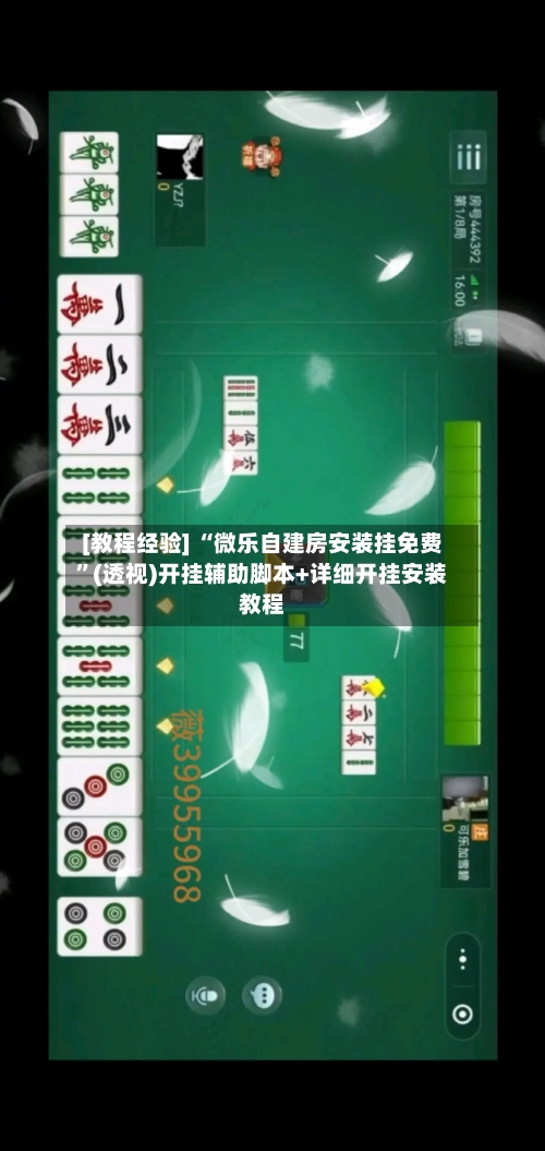 [教程经验] “微乐自建房安装挂免费”(透视)开挂辅助脚本+详细开挂安装教程-第3张图片
