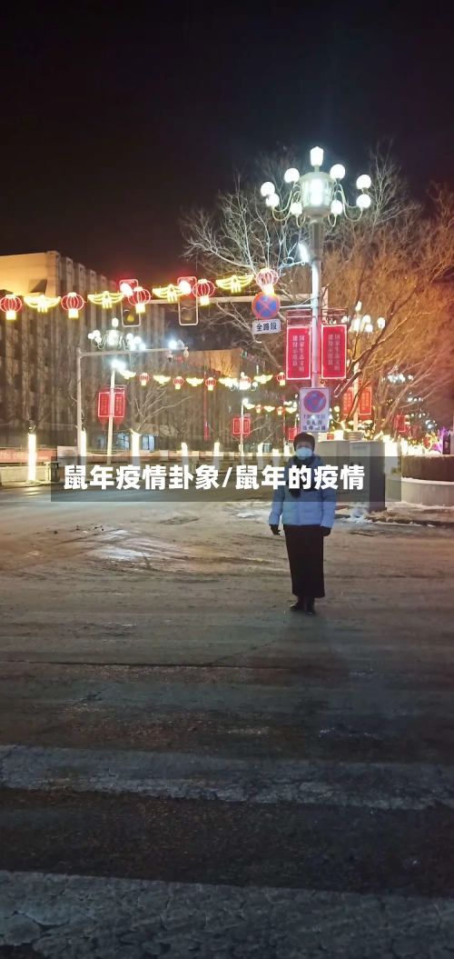 鼠年疫情卦象/鼠年的疫情-第1张图片