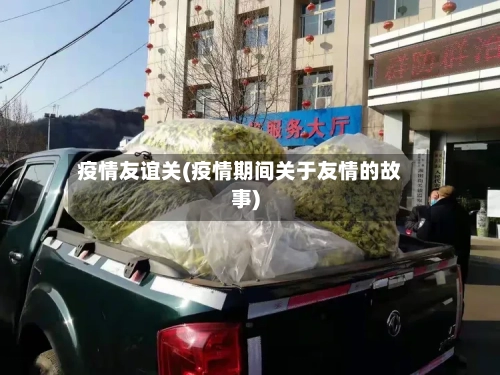 疫情友谊关(疫情期间关于友情的故事)-第1张图片