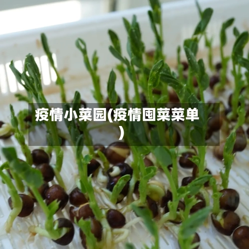 疫情小菜园(疫情囤菜菜单)-第3张图片