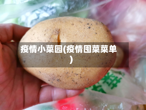 疫情小菜园(疫情囤菜菜单)-第2张图片