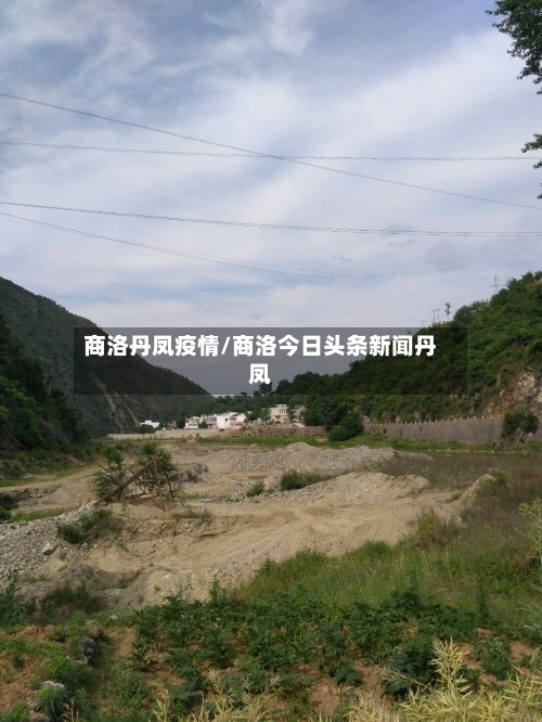 商洛丹凤疫情/商洛今日头条新闻丹凤-第2张图片