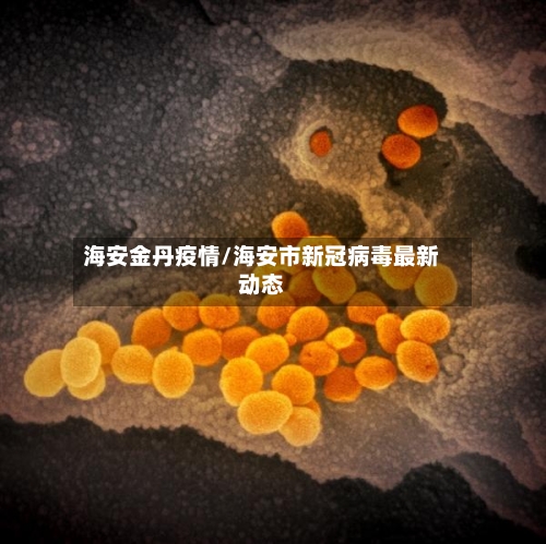 海安金丹疫情/海安市新冠病毒最新动态-第3张图片
