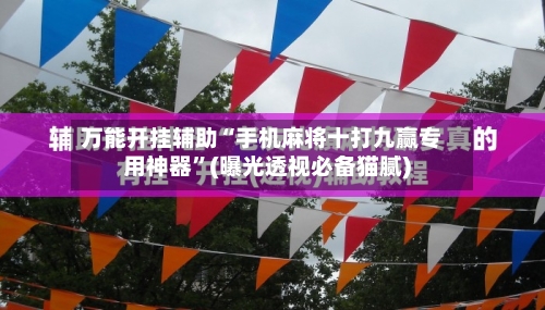 万能开挂辅助“手机麻将十打九赢专用神器	”(曝光透视必备猫腻)-第2张图片