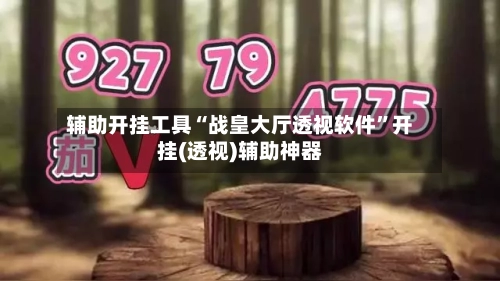 辅助开挂工具“战皇大厅透视软件”开挂(透视)辅助神器-第1张图片