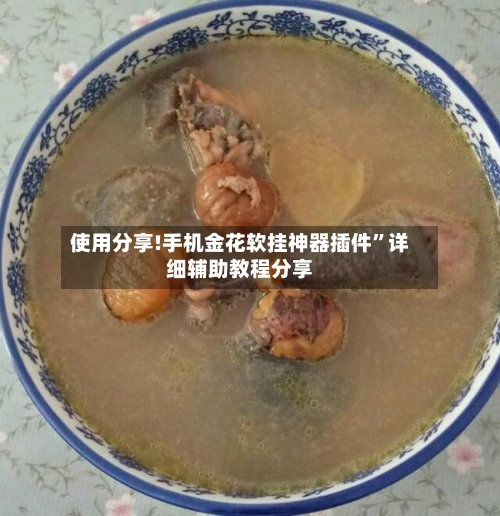 使用分享!手机金花软挂神器插件	”详细辅助教程分享-第2张图片