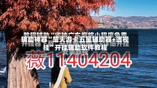 辅助神器“楚天游卡五星辅助器+透视挂”开挂辅助软件教程-第3张图片