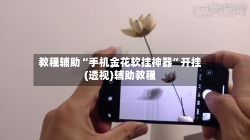 教程辅助“手机金花软挂神器	”开挂(透视)辅助教程-第3张图片