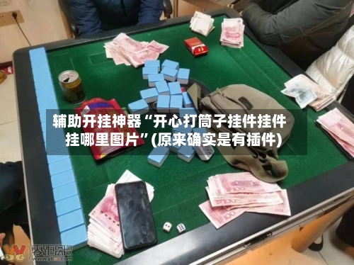 辅助开挂神器“开心打筒子挂件挂件挂哪里图片”(原来确实是有插件)-第2张图片