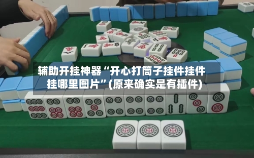 辅助开挂神器“开心打筒子挂件挂件挂哪里图片”(原来确实是有插件)-第3张图片