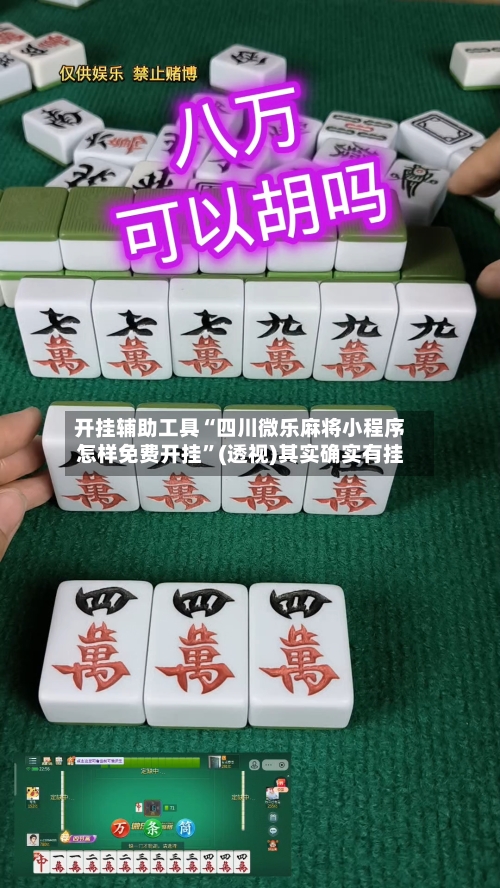 开挂辅助工具“四川微乐麻将小程序怎样免费开挂”(透视)其实确实有挂-第1张图片
