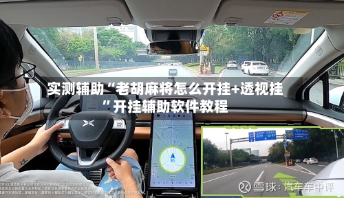 实测辅助“老胡麻将怎么开挂+透视挂	”开挂辅助软件教程-第1张图片