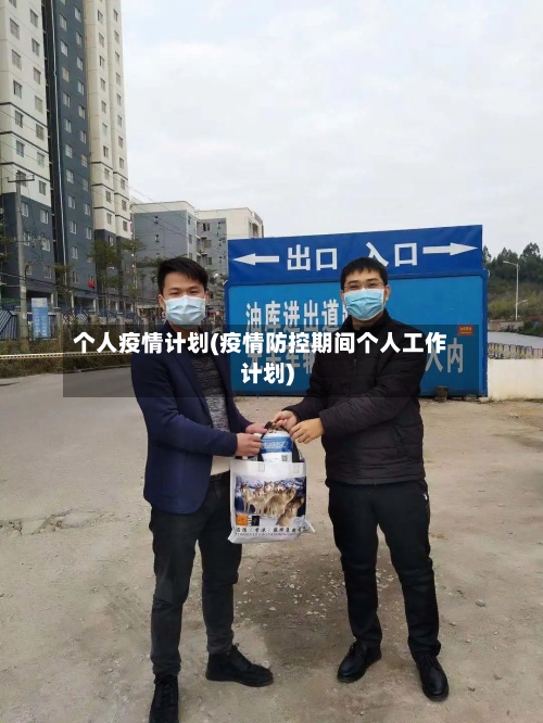 个人疫情计划(疫情防控期间个人工作计划)-第2张图片
