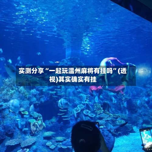 实测分享“一起玩温州麻将有挂吗”(透视)其实确实有挂-第1张图片