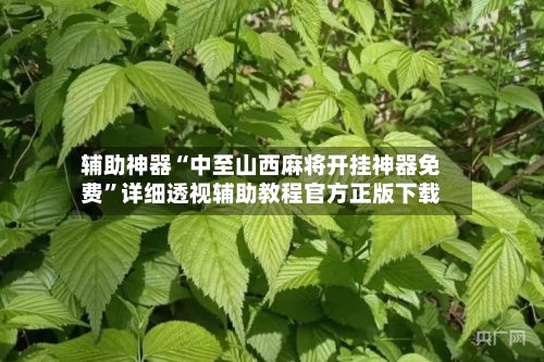 辅助神器“中至山西麻将开挂神器免费”详细透视辅助教程官方正版下载-第2张图片