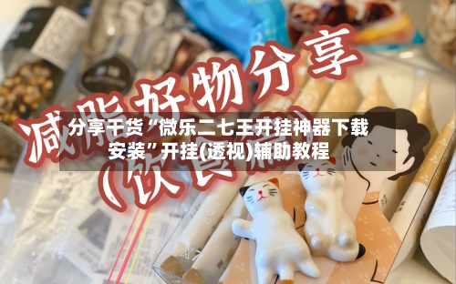 分享干货“微乐二七王开挂神器下载安装	”开挂(透视)辅助教程-第2张图片