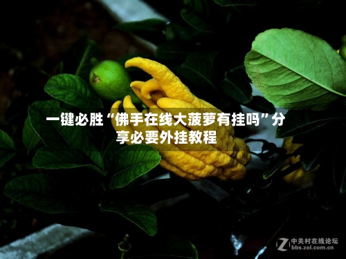 一键必胜“佛手在线大菠萝有挂吗”分享必要外挂教程-第1张图片
