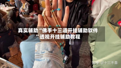 真实辅助“佛手十三道开挂辅助软件”透视开挂辅助教程-第1张图片