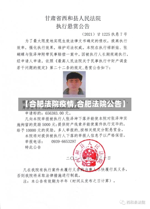 【合肥法院疫情,合肥法院公告】-第1张图片