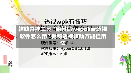 辅助开挂工具“德州局wepoker透视软件怎么用”揭秘透视辅助万能挂用法-第2张图片