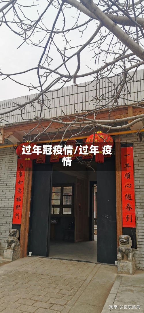 过年冠疫情/过年 疫情-第3张图片