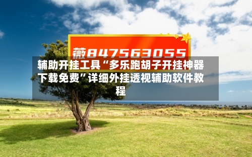 辅助开挂工具“多乐跑胡子开挂神器下载免费”详细外挂透视辅助软件教程-第1张图片