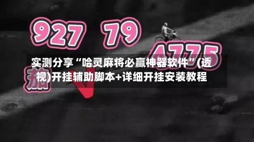 实测分享“哈灵麻将必赢神器软件	”(透视)开挂辅助脚本+详细开挂安装教程-第3张图片