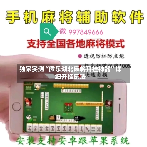 独家实测“微乐湖北麻将开挂神器	”详细开挂玩法-第2张图片