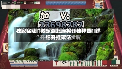 独家实测“微乐湖北麻将开挂神器”详细开挂玩法-第3张图片