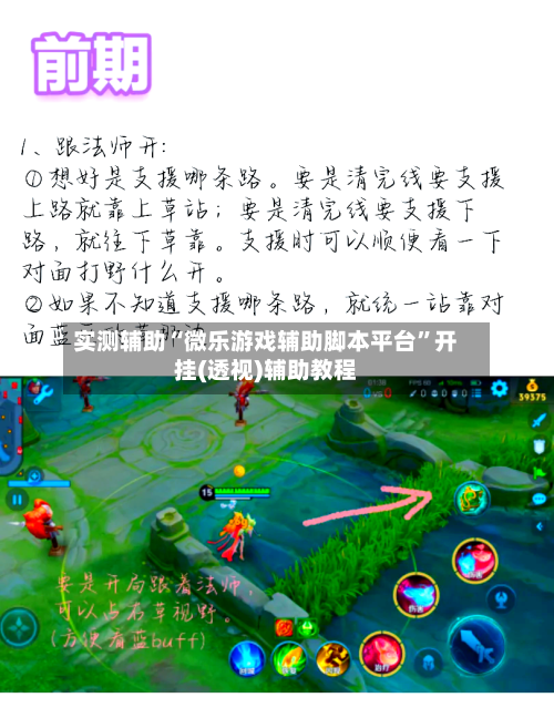 实测辅助“微乐游戏辅助脚本平台”开挂(透视)辅助教程-第3张图片